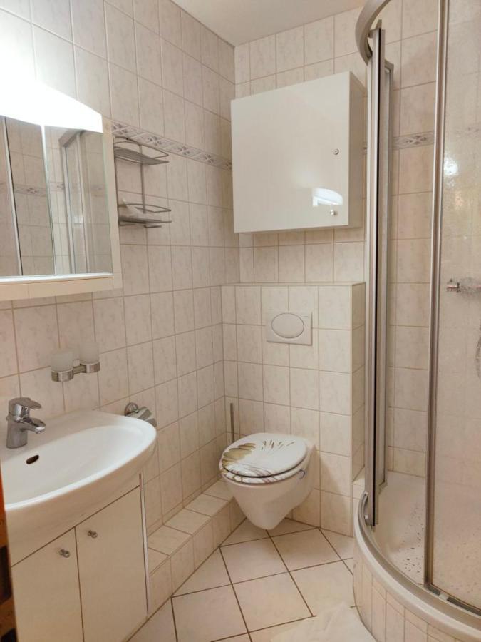 Apartment Brockenblick Mit Tollen Blick Und Schwimmbad 브라운라제 외부 사진